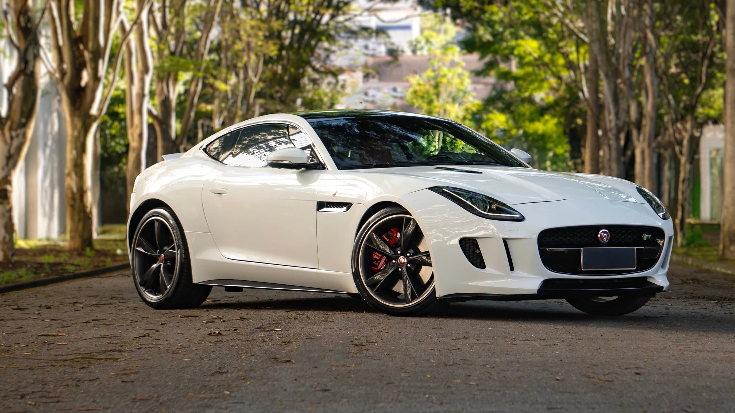 Jaguar Servicehistorie prüfen